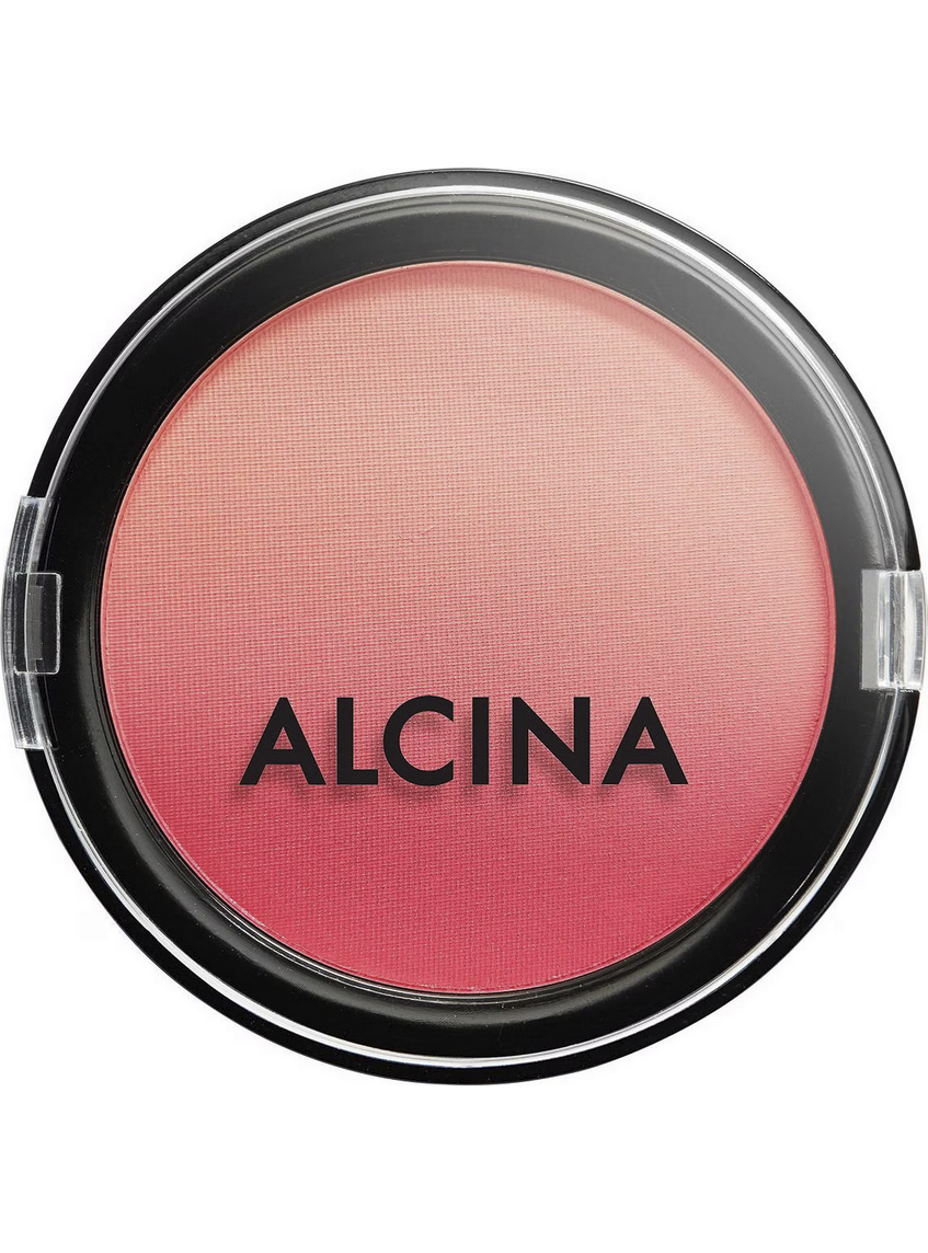 Powderblush Morning Rose