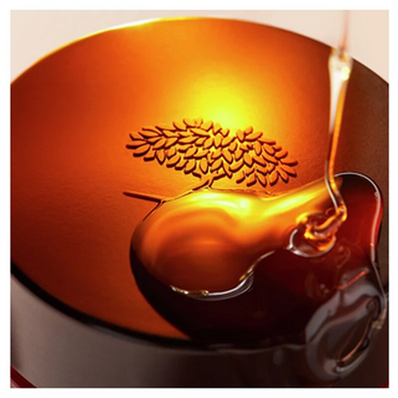 REVE DE MIEL Honey Lip Balm Ultra-Nourishing and Repairing