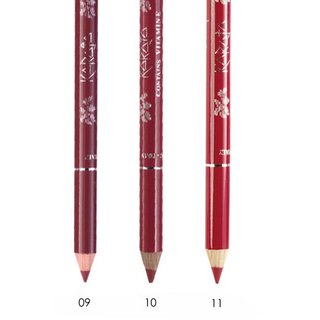 Perfect Lip Liner 12*