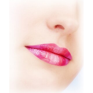 Perfect Lip Liner 13
