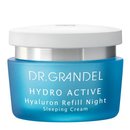 Hydro Active Hyaluron Refill Night