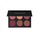 Essential Palette Blush Pro HD