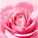 VERY ROSE Rose Fragrant Water